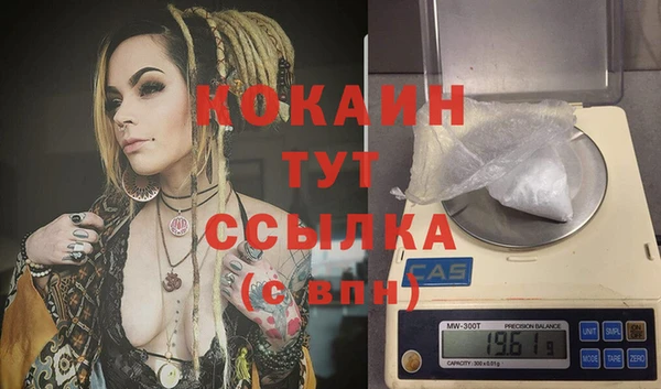 соль ск Вяземский